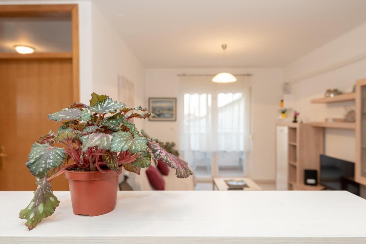 Apartman Valter Zadar Exterior photo